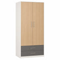 Armario de Madera Aglomerada Roble Claro y Gris con 2 Puertas y 2 Cajones