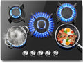 SNDOAS Placa de cocina, Gas 5 Fogones 70cm, Natural/Propano, 10400 W