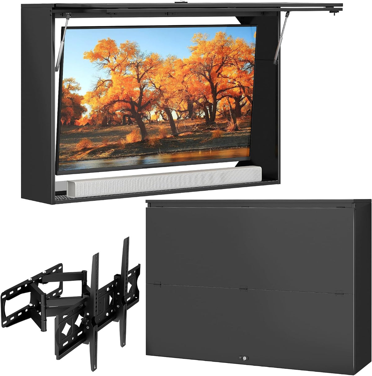 Protectores de pantalla de TV Caja protectora TV exterior impermeable, carcasa de seguridad para televisores 32, 55 pulgadas con cierre protección